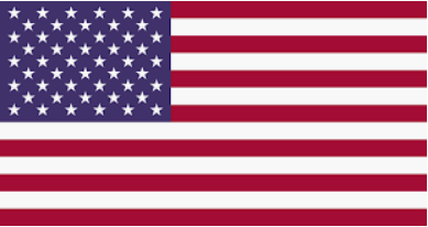 bandera usa